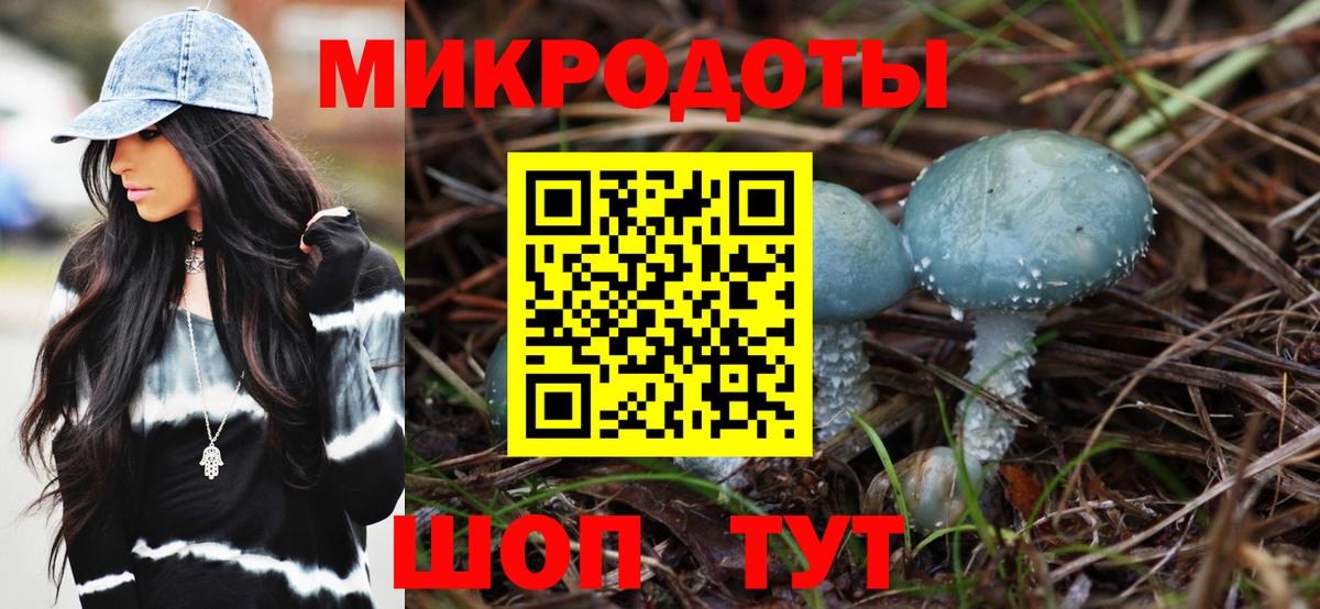 Галлюциногенные грибы Cubensis  Вход с VPN  Псилоцибиновые грибы Magic Shrooms  Калининград 
